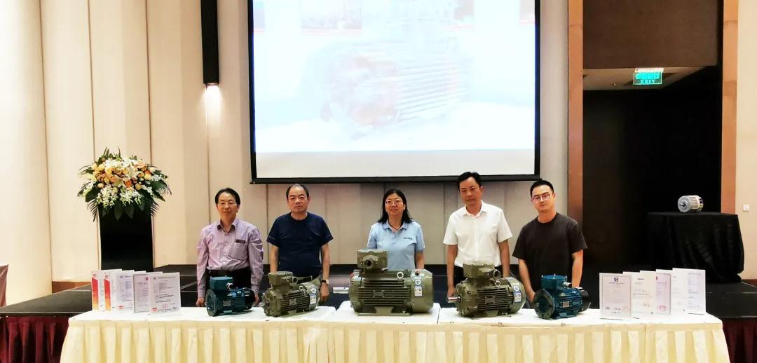 臥龍電驅全新一代YBX3系列隔爆型三相異步電動機(圖2)