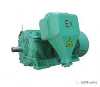 高壓防爆電機(jī)常見(jiàn)故障分析