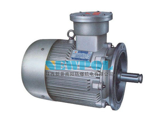 YBX3-H 系列船用隔爆型三相異步電動(dòng)機(jī)