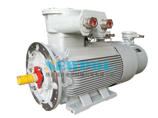 YBBP 系列隔爆型變頻調(diào)速三相異步電動(dòng)機(jī)（機(jī)座號(hào)