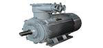 Low voltage Ex motor
