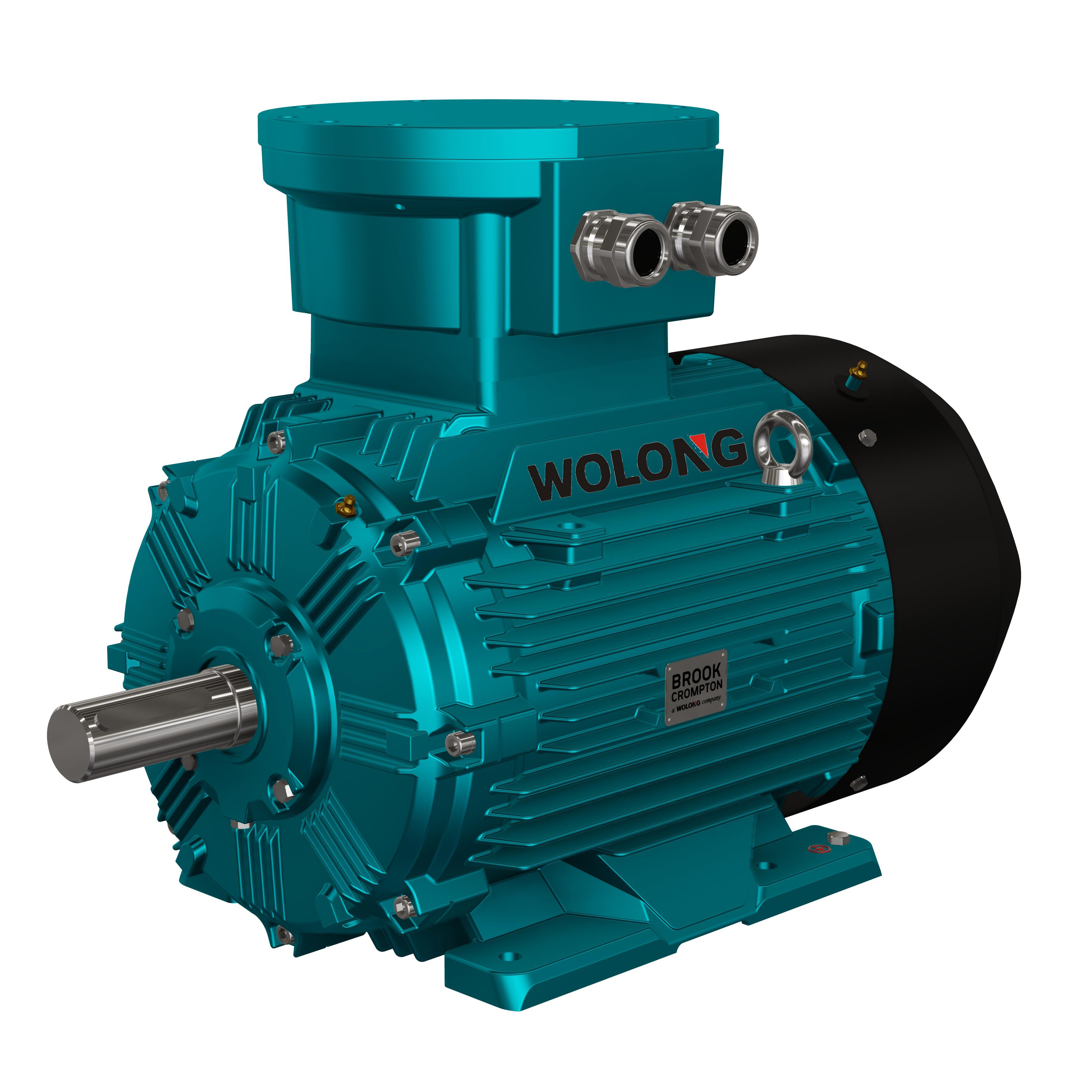 Brook Crompton electric motor