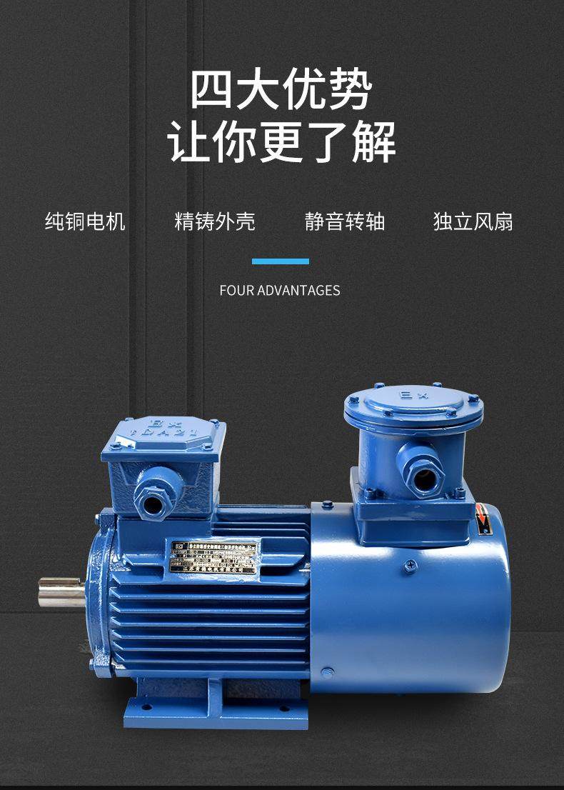 YFB4粉塵防爆三相異步電動(dòng)機(jī)(圖5)