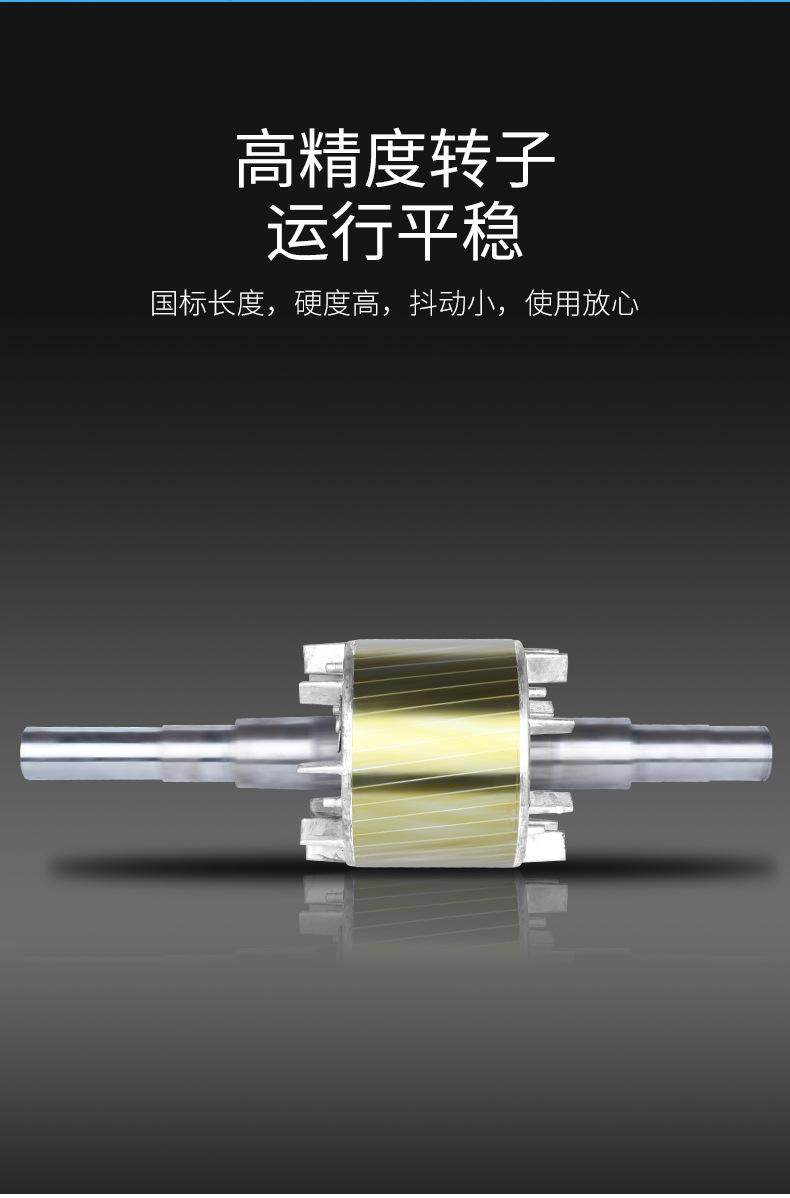 YFB4粉塵防爆三相異步電動(dòng)機(jī)(圖8)