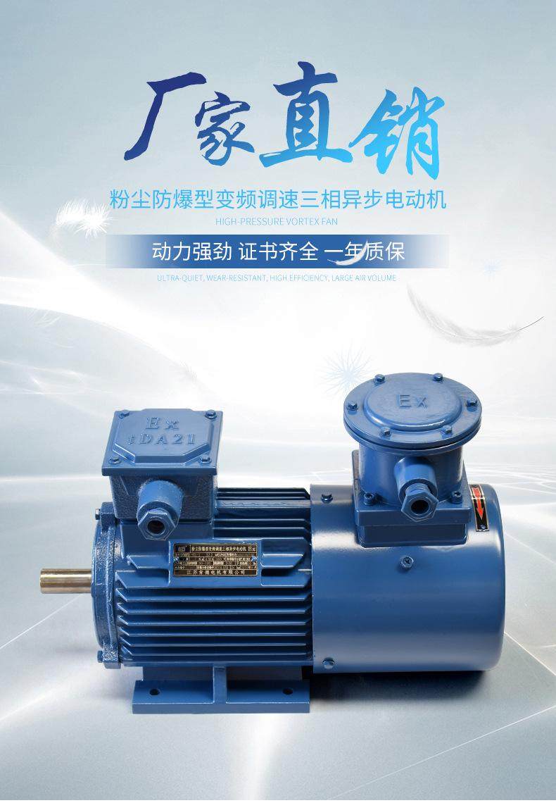 YFBBP3粉塵防爆變頻三相異步電動機全銅線隔爆(圖1)